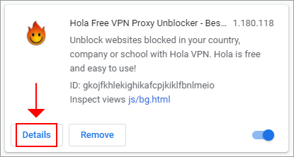 Chrome shows the Details button for the Hole VPN extension