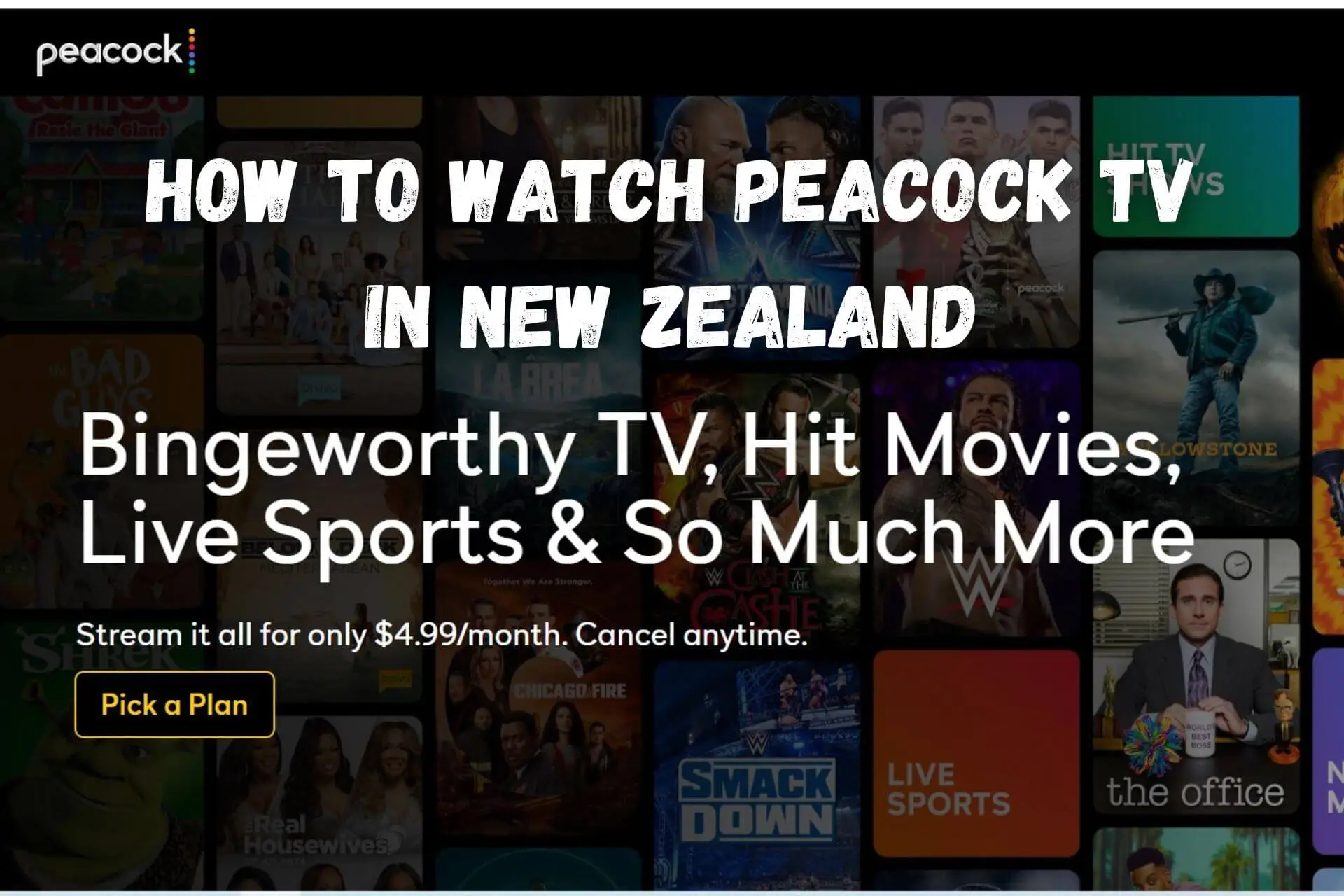 how to watch peacock tv in nz