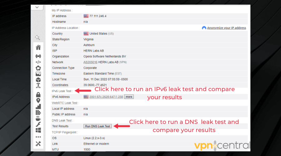 check your connection for vpn leaks