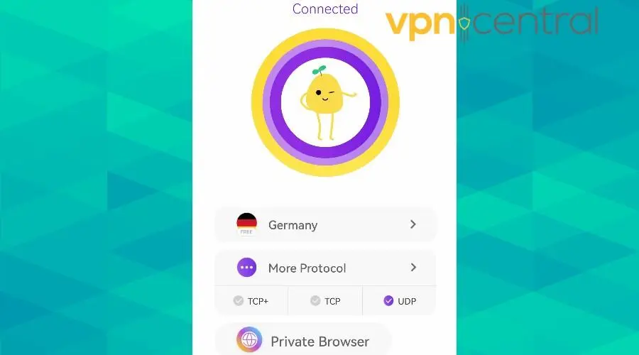 potatovpn connected to germany server