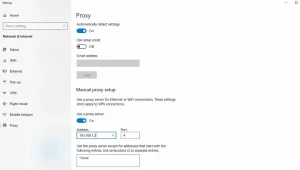 Windows proxy settings