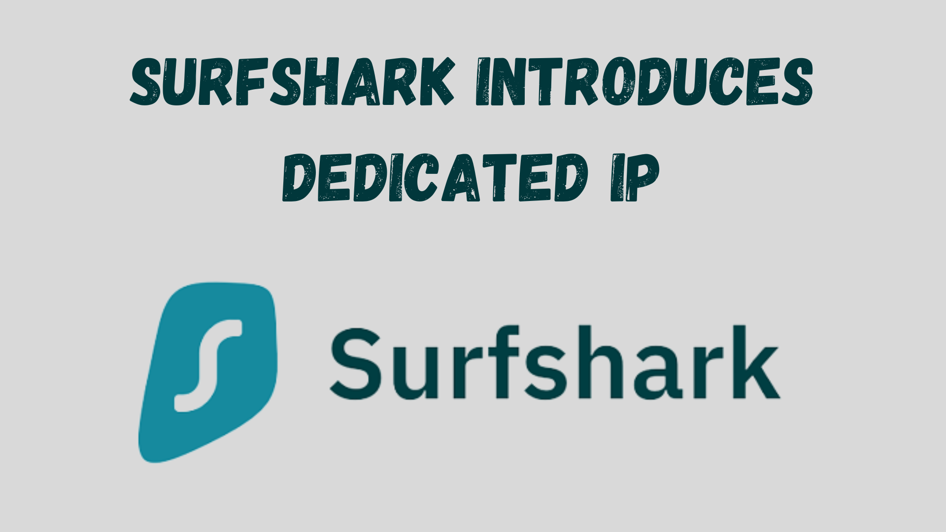 surfshark introduces dedicated ip