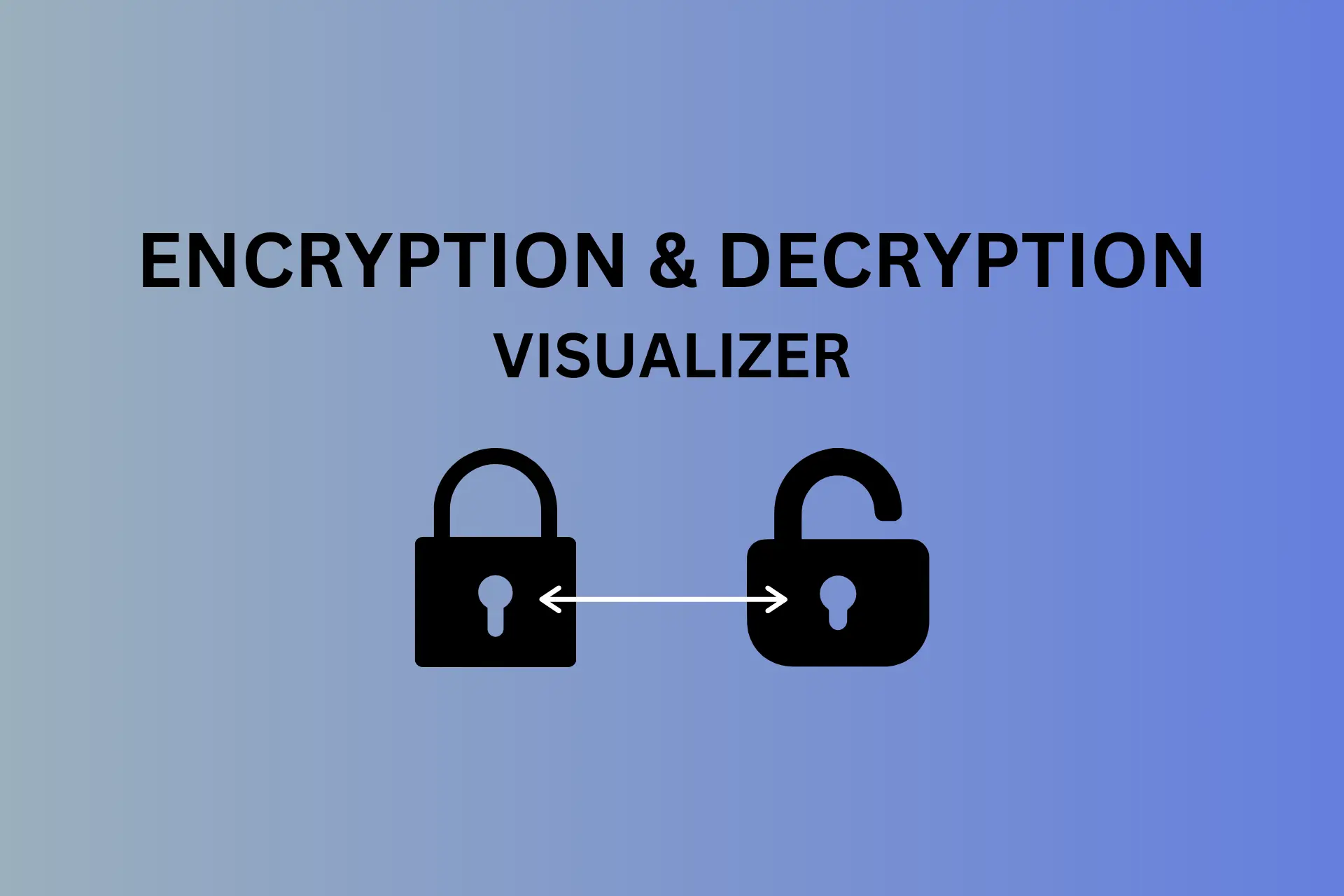 encryption and decryption visualizer