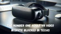 The Number One Adult VR Video Website Blocked in Texas