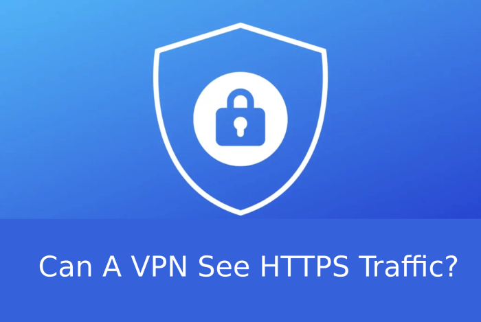 can a vpn see https traffic