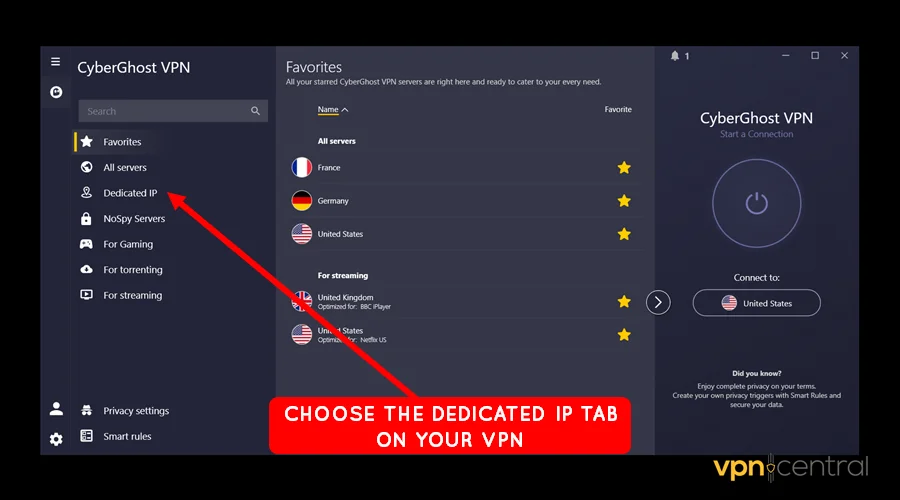 choose the dedicated ip tab on your vpn